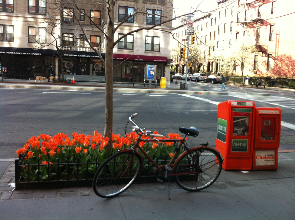 Tulips & Bike.bwc