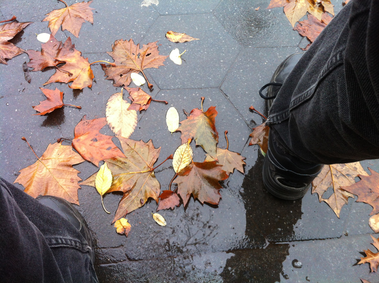 RainLeavesFeet.bwc