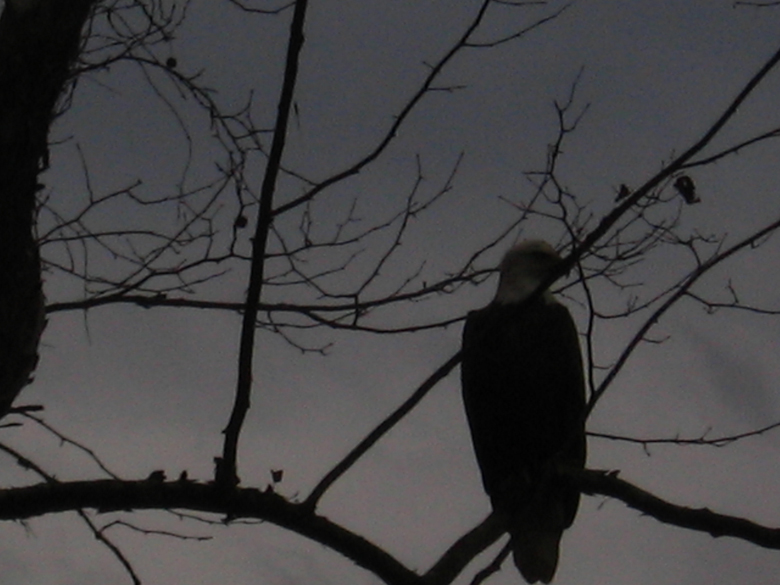 Photo: Helen Geltman