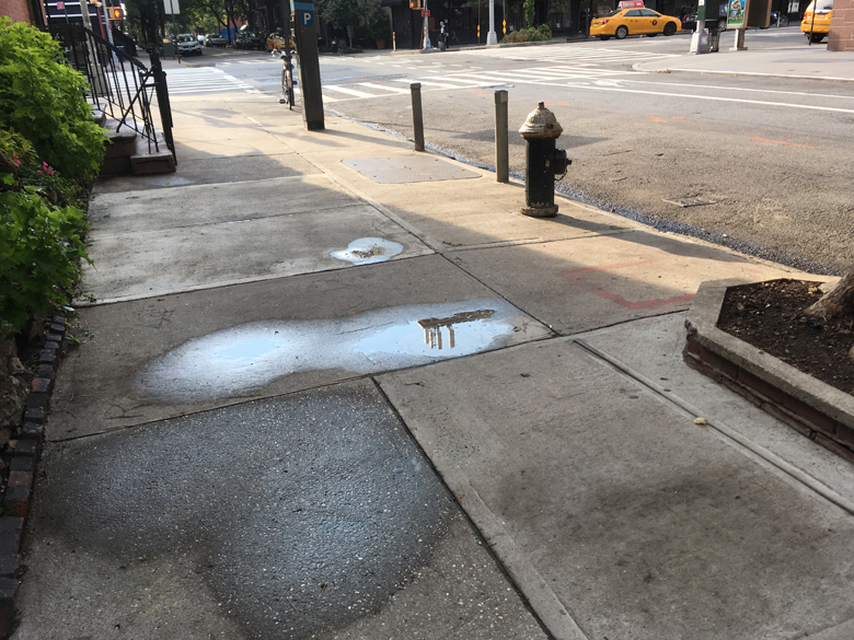 PuddleReflection.bwc