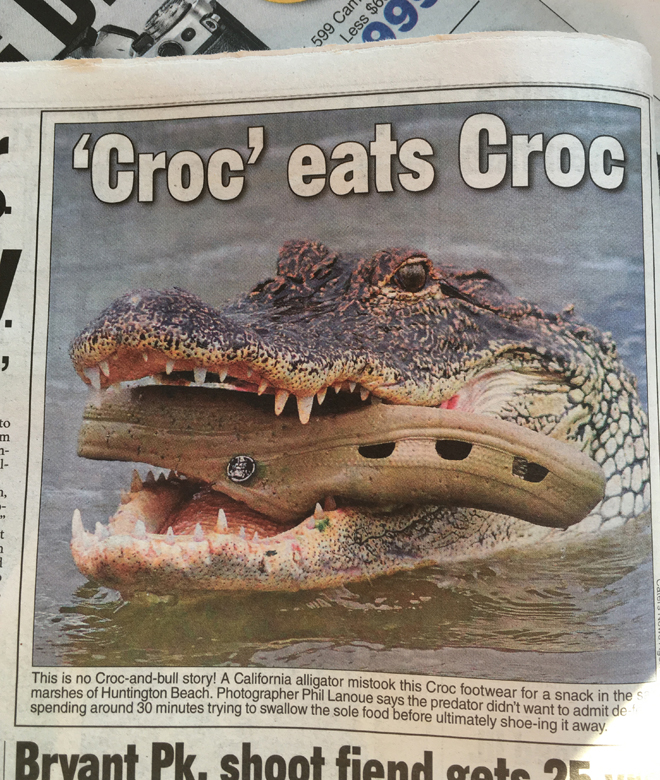 CrocEats.bwc